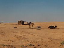 Am Rand der Sahara