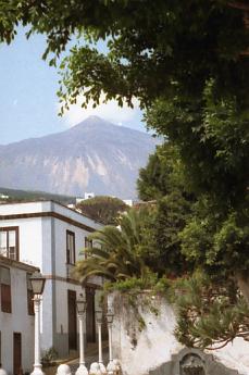 In Icod de los Vinos