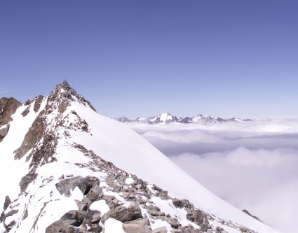 Freiger vom Signalgipfel